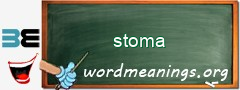 WordMeaning blackboard for stoma